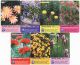 Sběratelská série kartičkových kalendáříků Květiny - Trvalky DOPRODEJ 